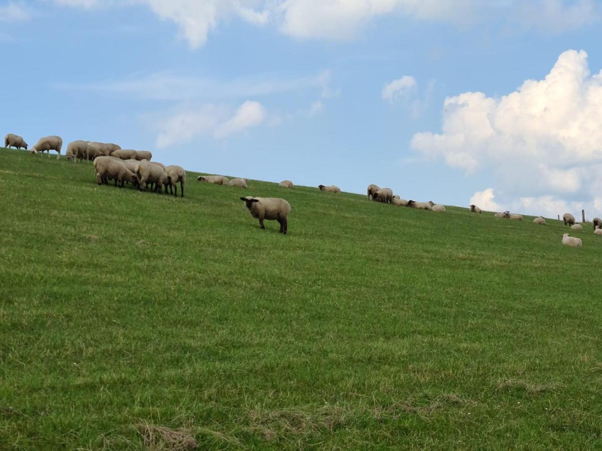 Haus Kuestenbrise - Urlaub Mit Hund An Der Kueste Mit Eigenen Garten, Sauna Und Gemuetlichen Kaminfeuer Schweiburg Zewnętrze zdjęcie